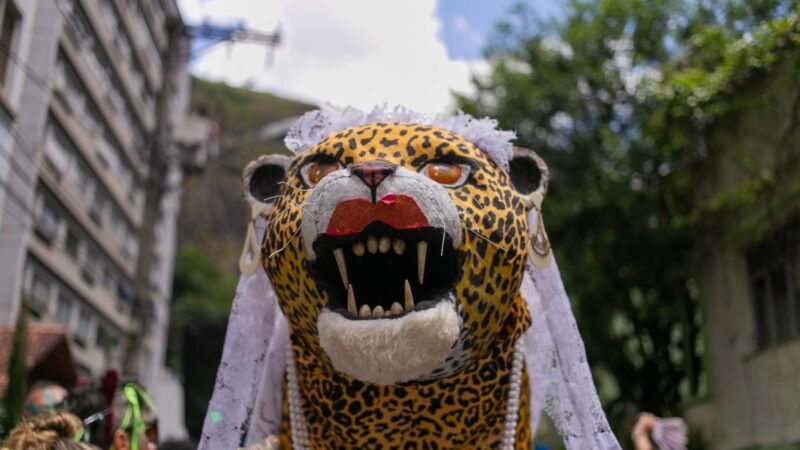 Neste sábado, a Festa do Bloco Amigos da Onça agita o Centro de Vitória