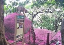 Calçadão Turismo – Parque Gruta da onça é uma lenda na capital capixaba.