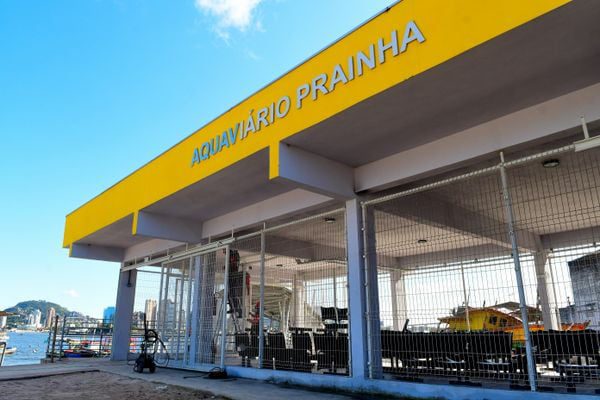 Calçadão na Festa da Penha – Saiba os serviços que podem ser úteis durante o festejo.