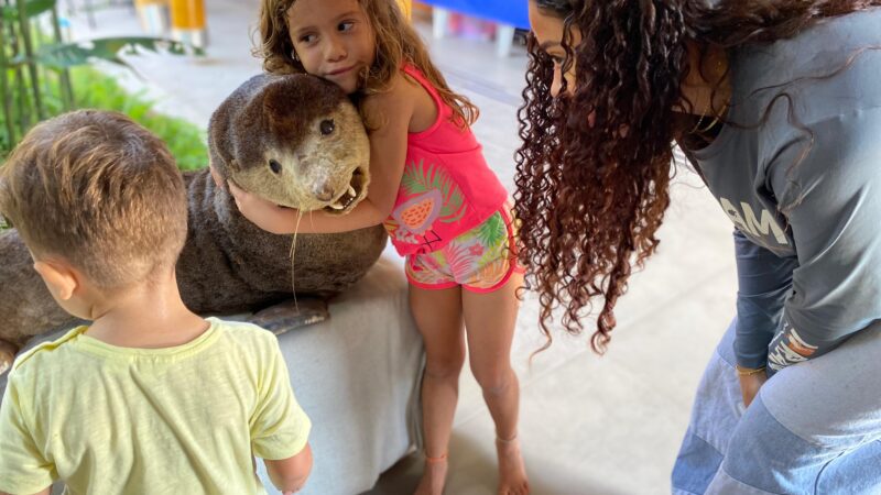 Calçadão Meio Ambiente – Parque Costeiro da VALE tem exposição do O Projeto Conhecendo os Manguezais Sobre Recifes