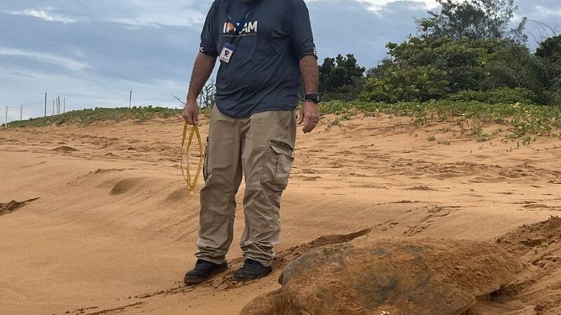 Entrevista – Wilson Meirelles