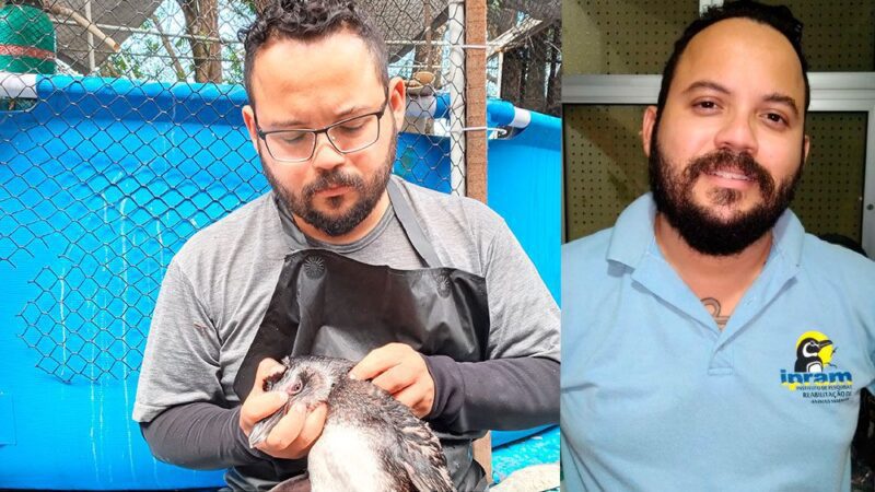 Calçadão Meio Ambiente – Artigo: Por Luis Felipe Mayorga – Pinguins e outros animais marinhos promovem a saúde