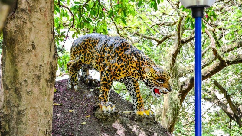 No Centro de Vitória, Gruta da Onça encanta visitantes com natureza e histórias