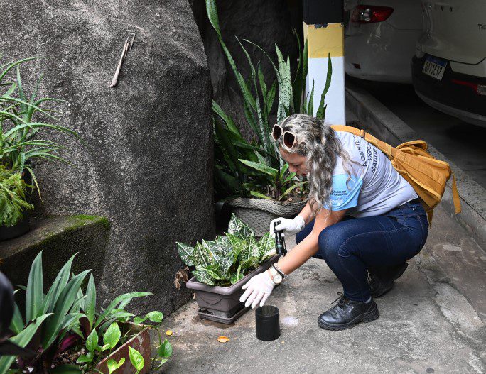 Estudo mostra que principais criadouros da dengue estão em residências