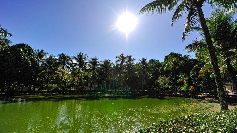 Parque da Mata Paludosa é reaberto à visitação pública partir desta terça-feira (23)