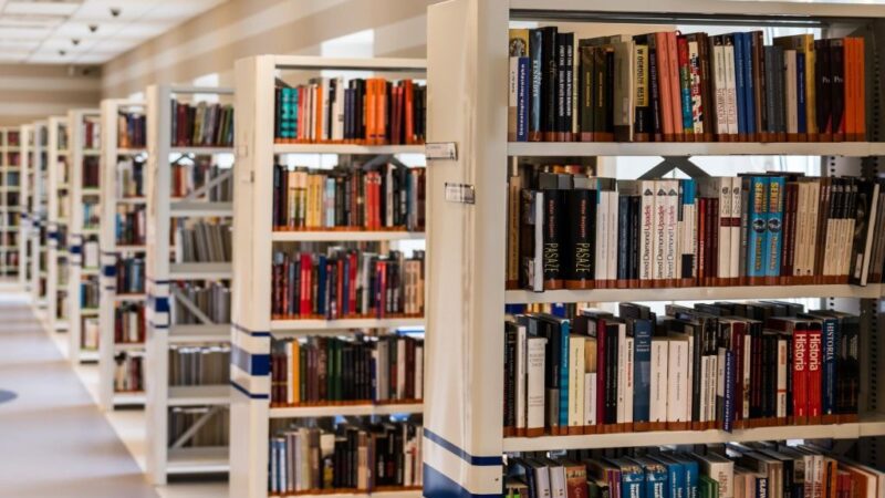 Biblioteca promove Encontro com o Escritor e contação de histórias na sexta-feira (30)