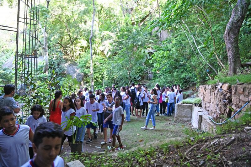 Atividades educativas sobre a Mata Atlântica são realizadas para estudantes na Gruta da Onça