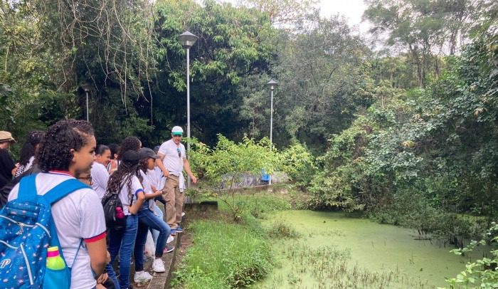 Estudantes aprendem sobre a relevância da Mata Atlântica por meio de trilhas educativas