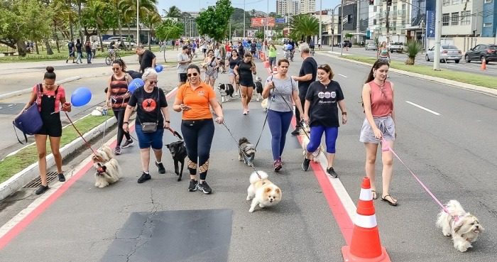 Cãominhada e Bênção dos Animais: Programação Especial em Vitória no Domingo