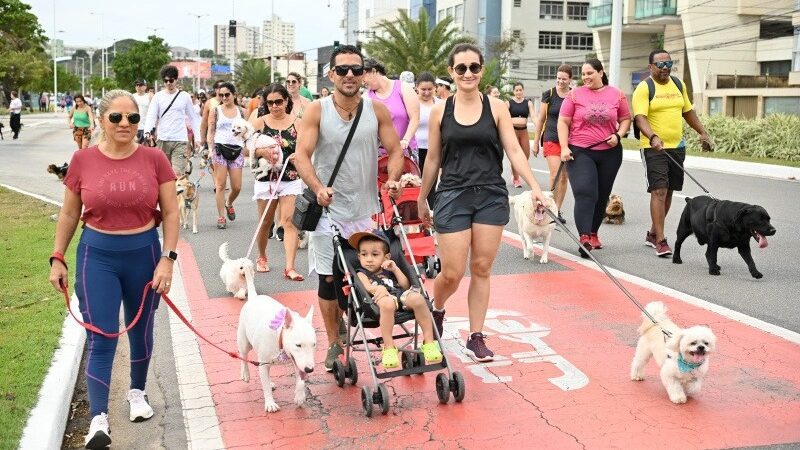 Cãominhada em Camburi: Um encontro de pets, tutores e amigos