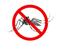 Calçadão Guarapari – Prevenção para evitar proliferação do mosquito é a melhor medida