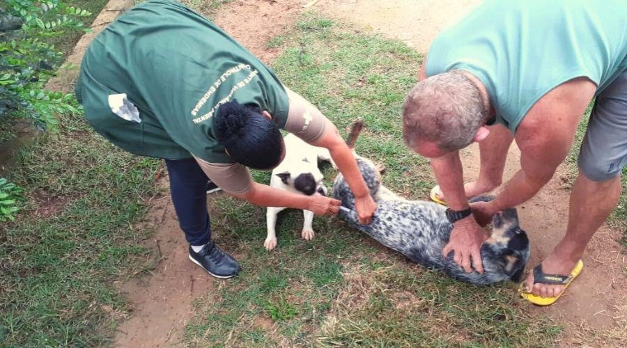 Calçadão Vila Velha – Vacinação antirrábica em itapuã