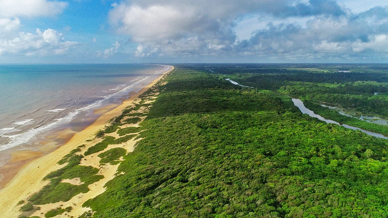 Calçadão Itaúnas – Festival do Forró integrou cultura e conscientização ambiental